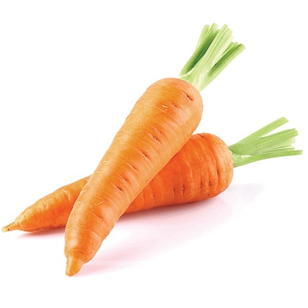Carrot